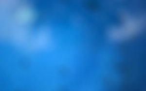 在线预测
